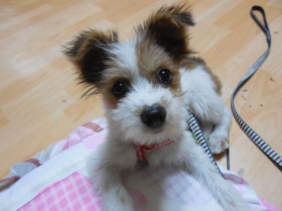 Annie Fuzzyknickers