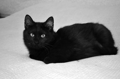 SHADOW