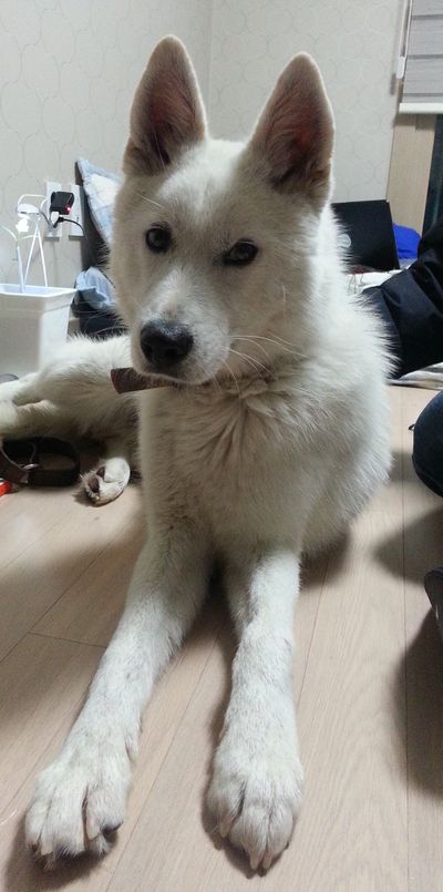 NO NAME