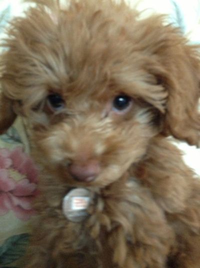 Ralph