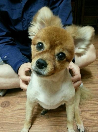 Mingki