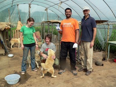Ways to Help Korean Animals