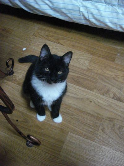 Luna