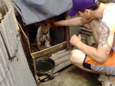 Man crouches to pet small dog inside dog  house