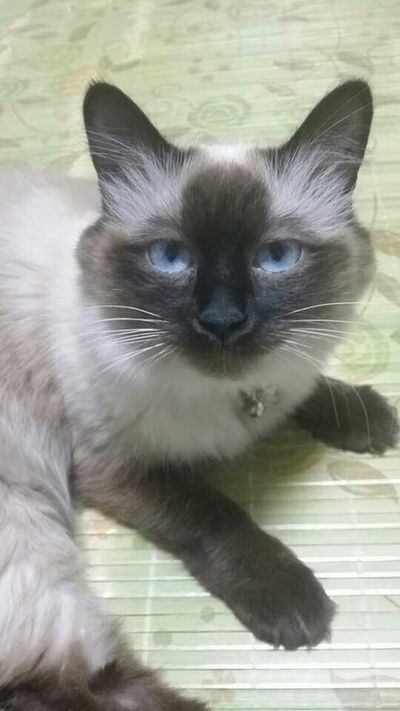 Luna