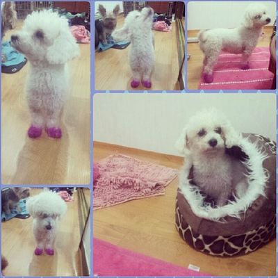 Princess Gongju (공주)