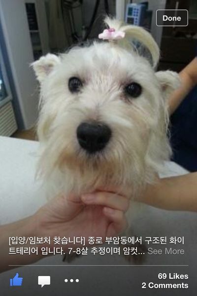 Bok Suni (Brings Luck)
