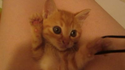 Little One