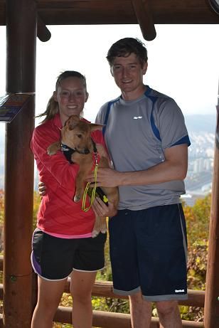 Dexter - Puppy Adventurer!