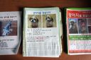 What To Do When You Lose Your Pet