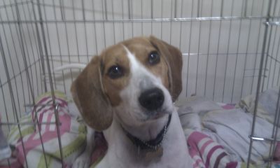 Romeo