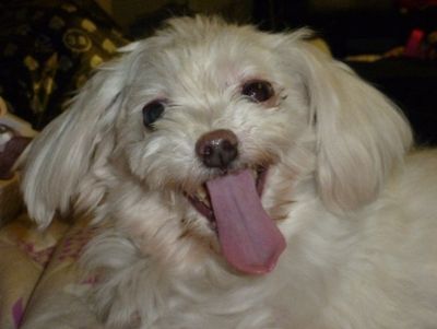 Danbi