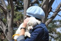 Woman holds small white dog