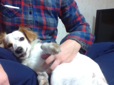 Patches
