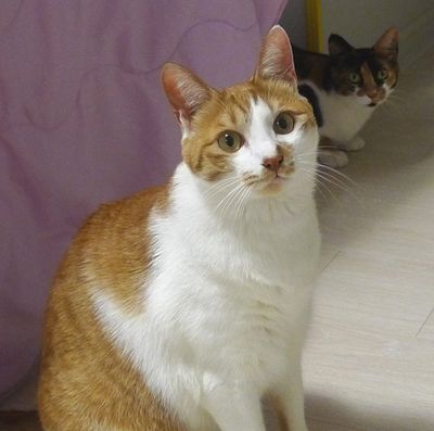 Zyler + Bella