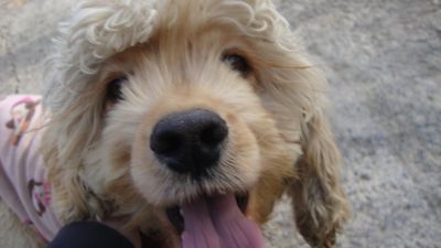 Curly - and yes, my eyelashes are real