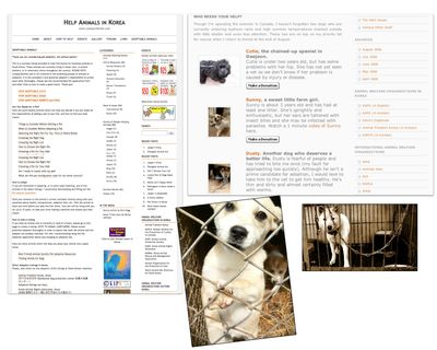 Screenshots of blog