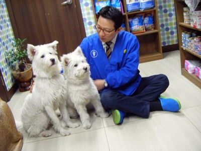 Veterinarian sits next to two dogs