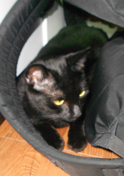 Berry (now Abby)