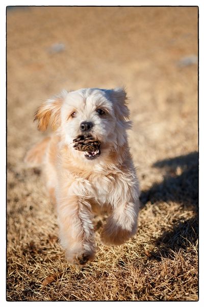 Teddy aka Ella ;)