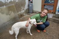 Woman pats white dog