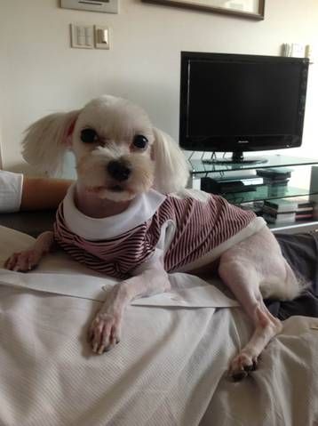 MOLLY