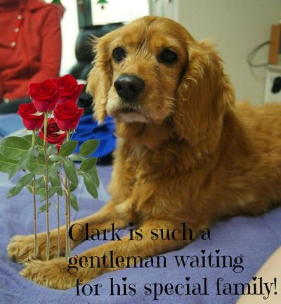 Clark Kent