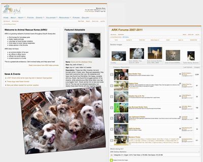 Screenshots of forums