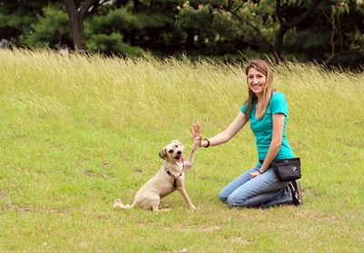Dog gives trainer high-five