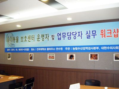 RSPCA in Korea: A Surprise Meeting