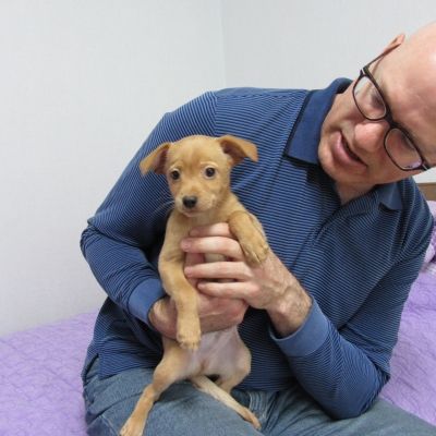Scrappy is a playful boy