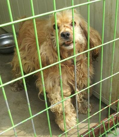 Leo (on death row)