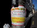 Trap-Neuter-Return in Seoul