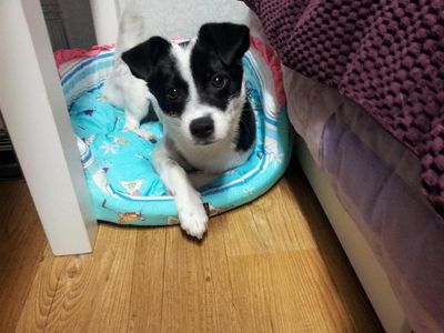 Max