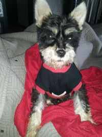 Samson