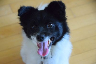 Frida