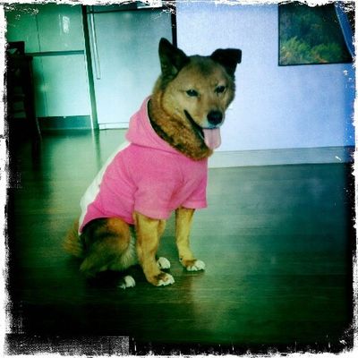 Starla