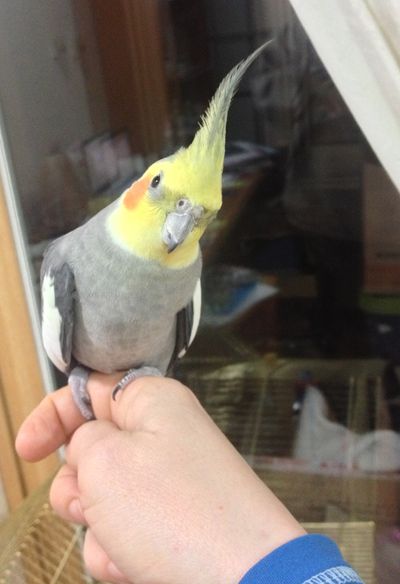 Darby & his 'keets
