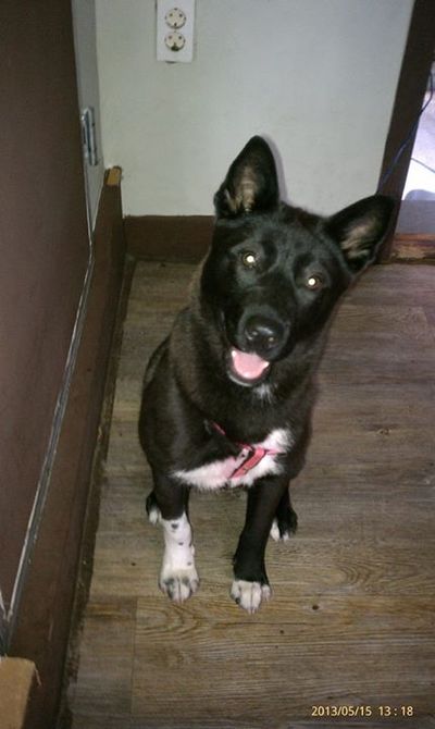 Izzy ‚ô°