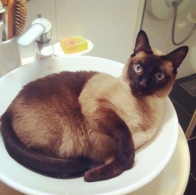 Bella