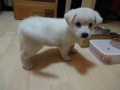 Edison (or Eddie)