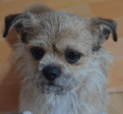 Gongju