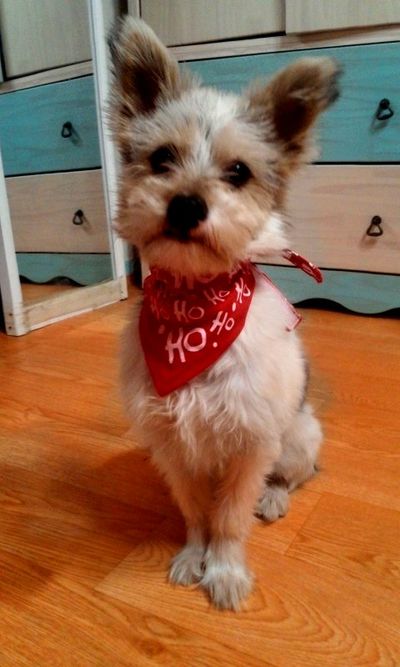 Eva