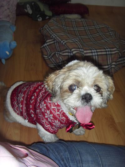 Poppy: this happy girl deserves a lifetime of love