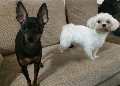 Snoop and Amber