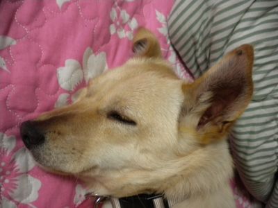 Barkley (Alfred)