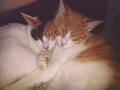 Arthur & Scully