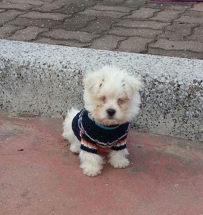 Milton