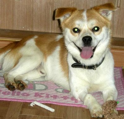 Mochi: I'm awesome and I know it!