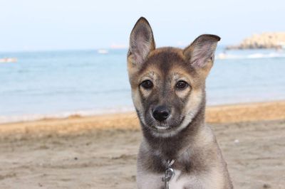Mocha